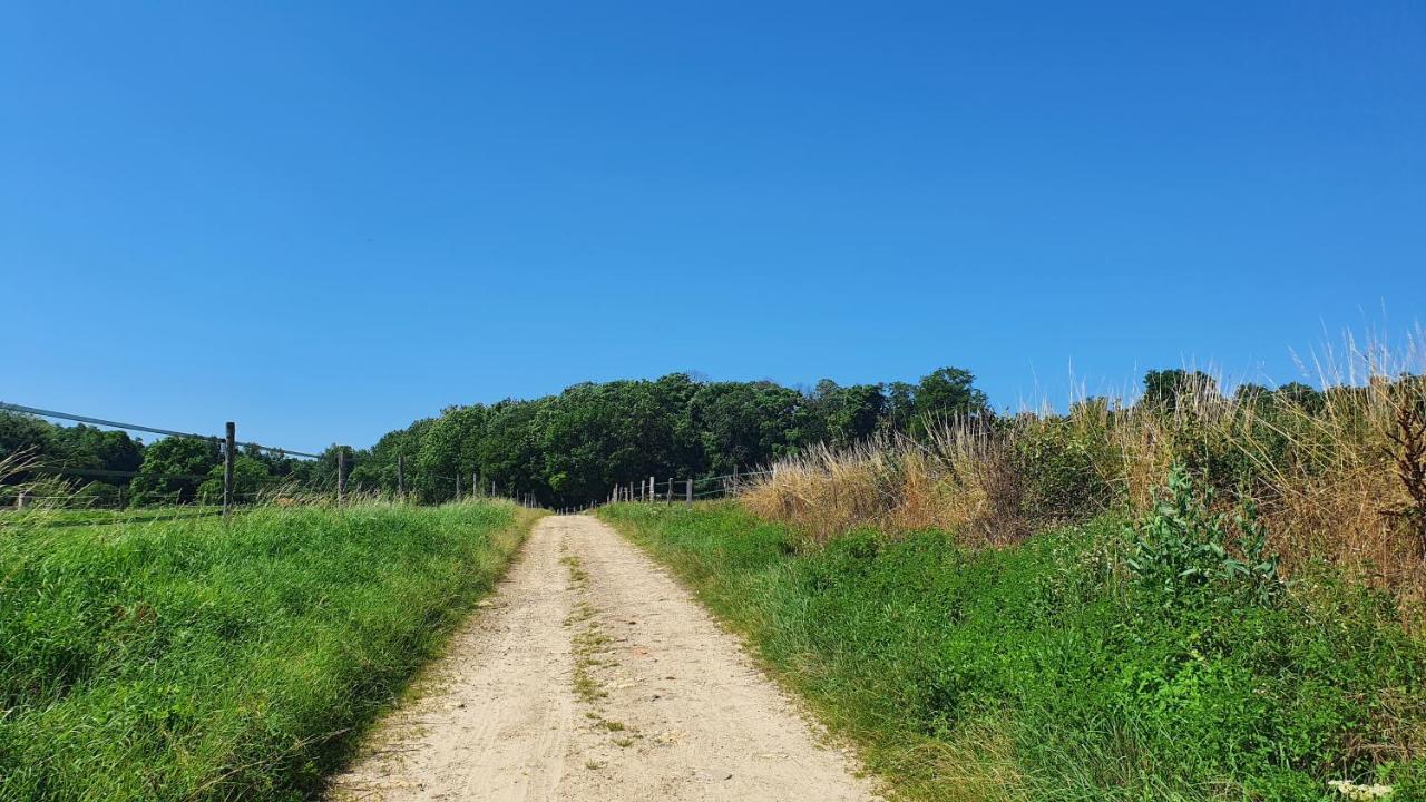 Apartmán Les Petits Greniers Jonquières Exteriér fotografie